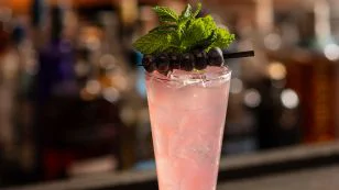 Blueberry Mojito