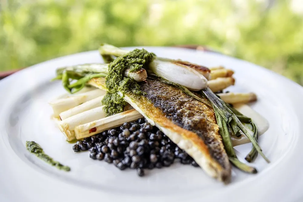 Seabass