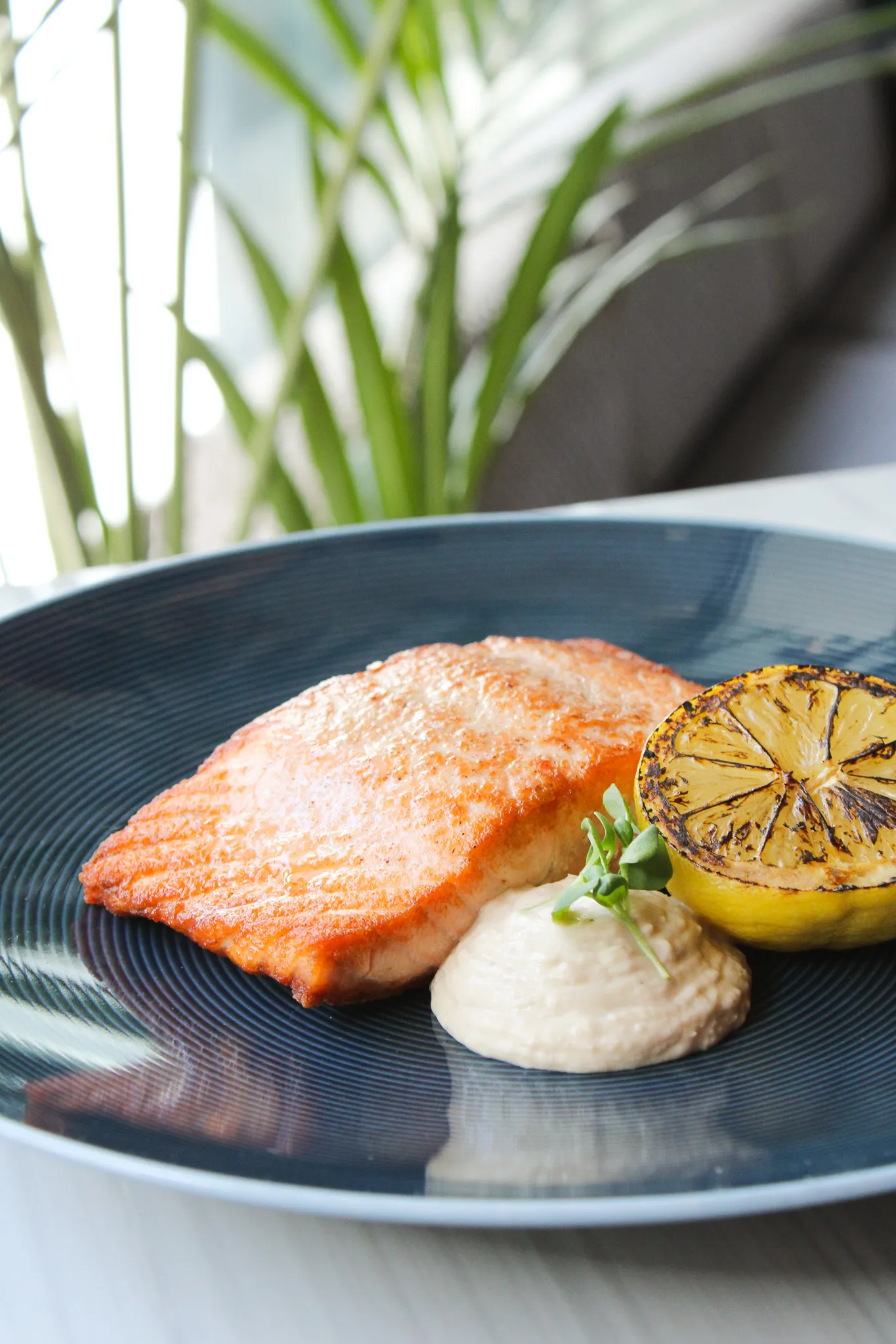 Scottish Salmon
