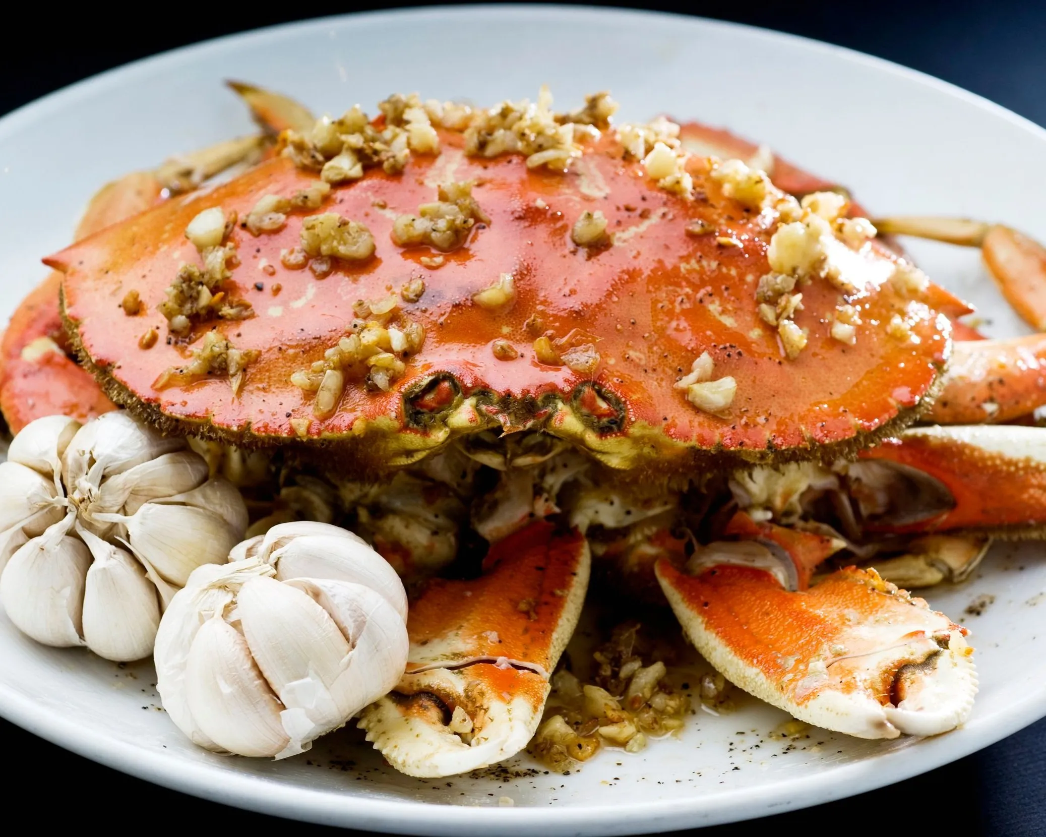 Dungeness Crab