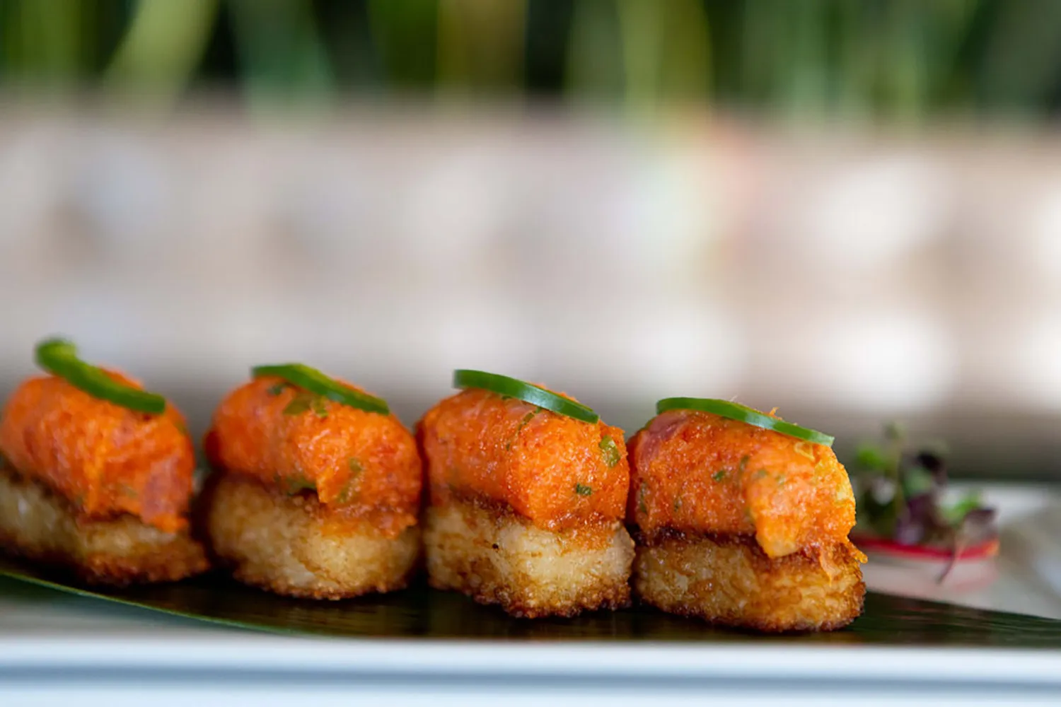 Koi Crispy Rice