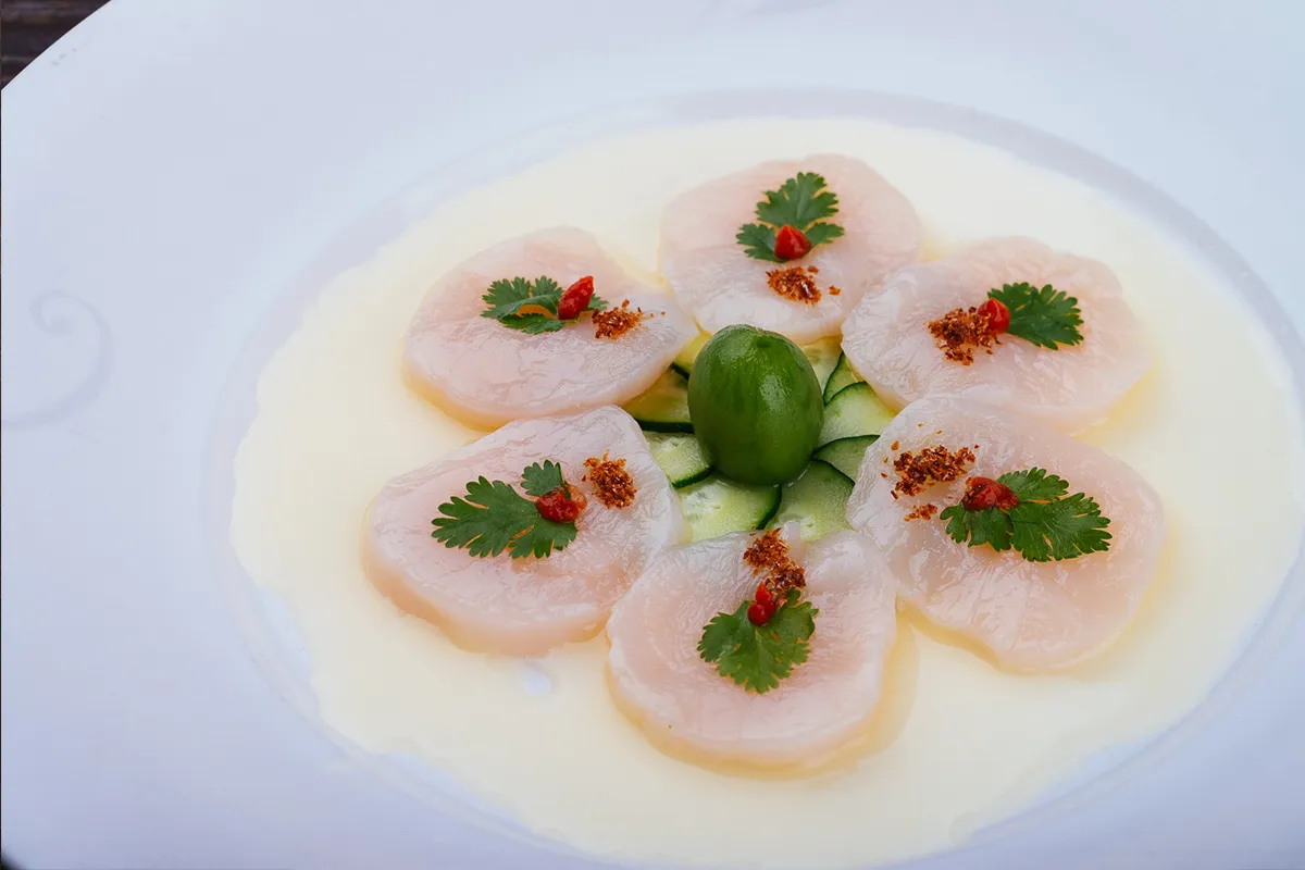 Fresh Scallop Tiradito