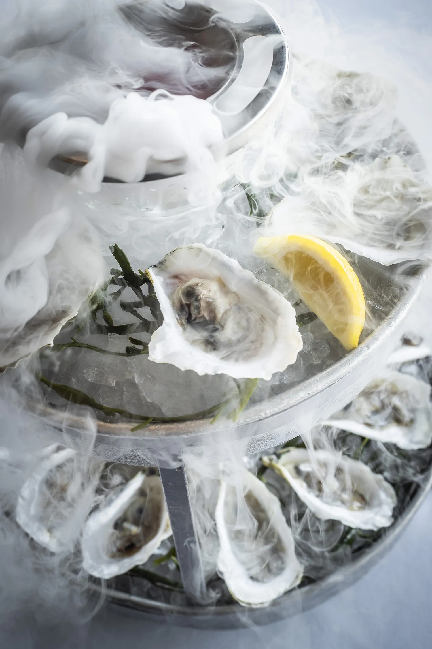 Oysters On The Half Shell - Rose & Garnet