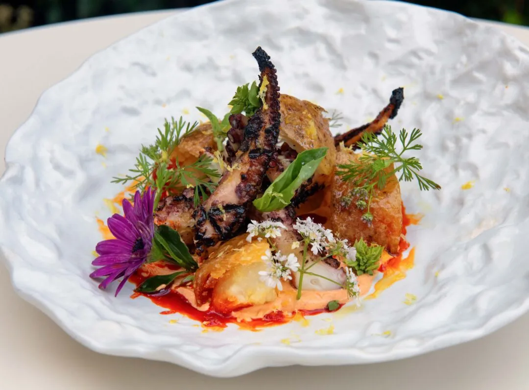 Grilled Octopus
