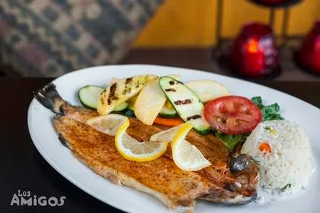 Rainbow Trout