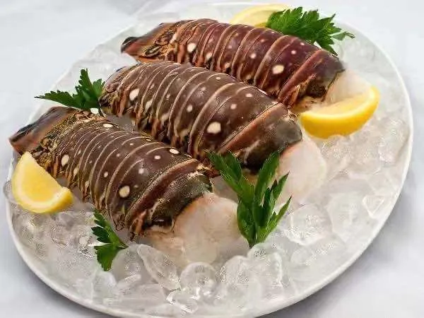Lobster