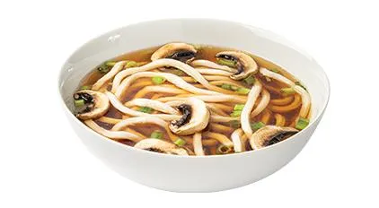 Udon Noodle Soup