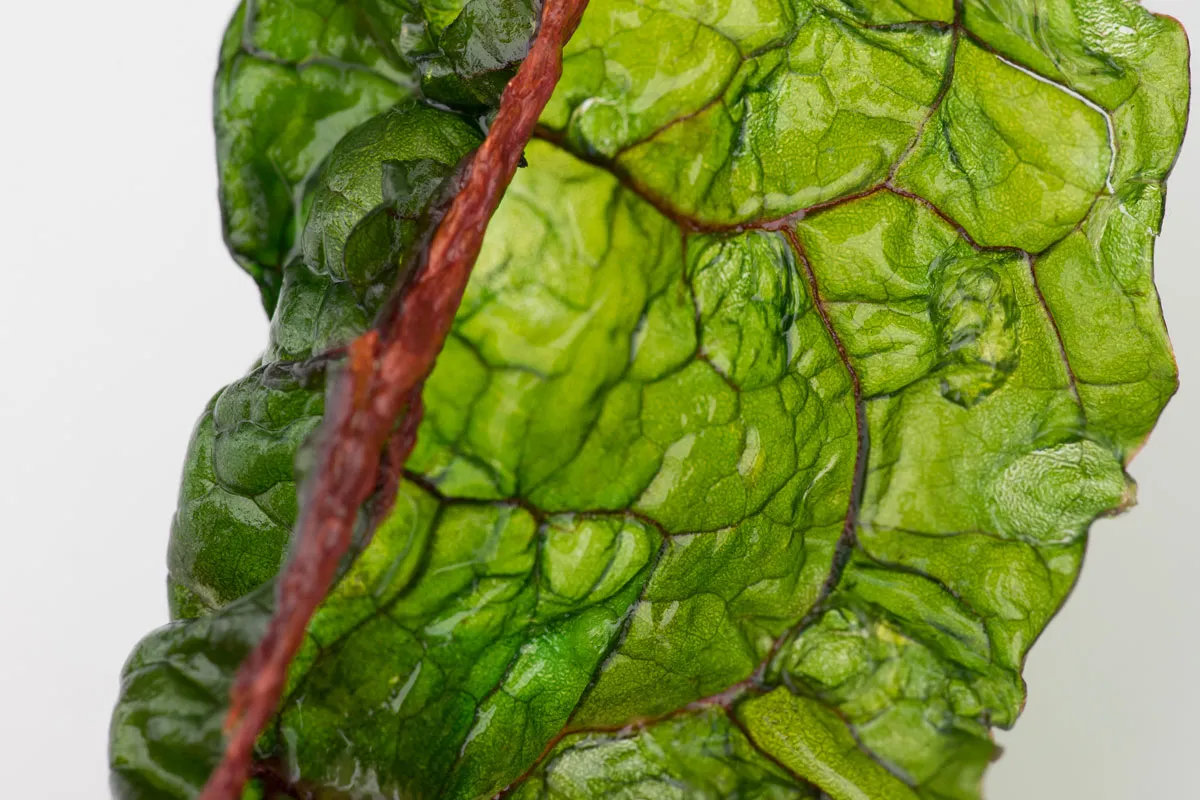 Fried Chard