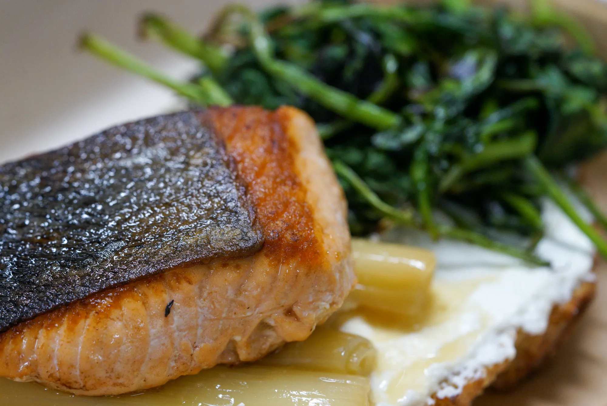 Wild Salmon