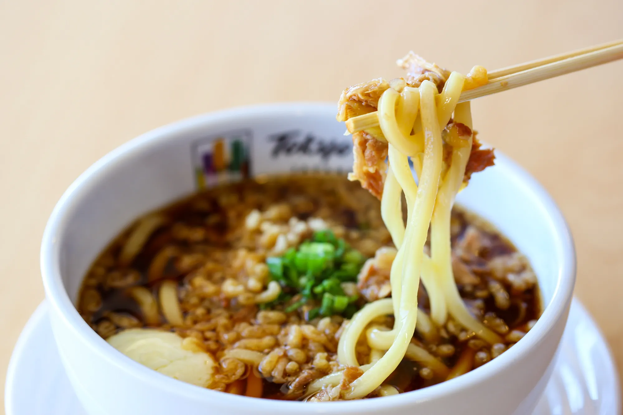 Tanuki Udon