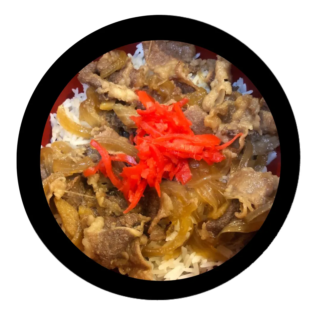 Gyudon Beef Bowl