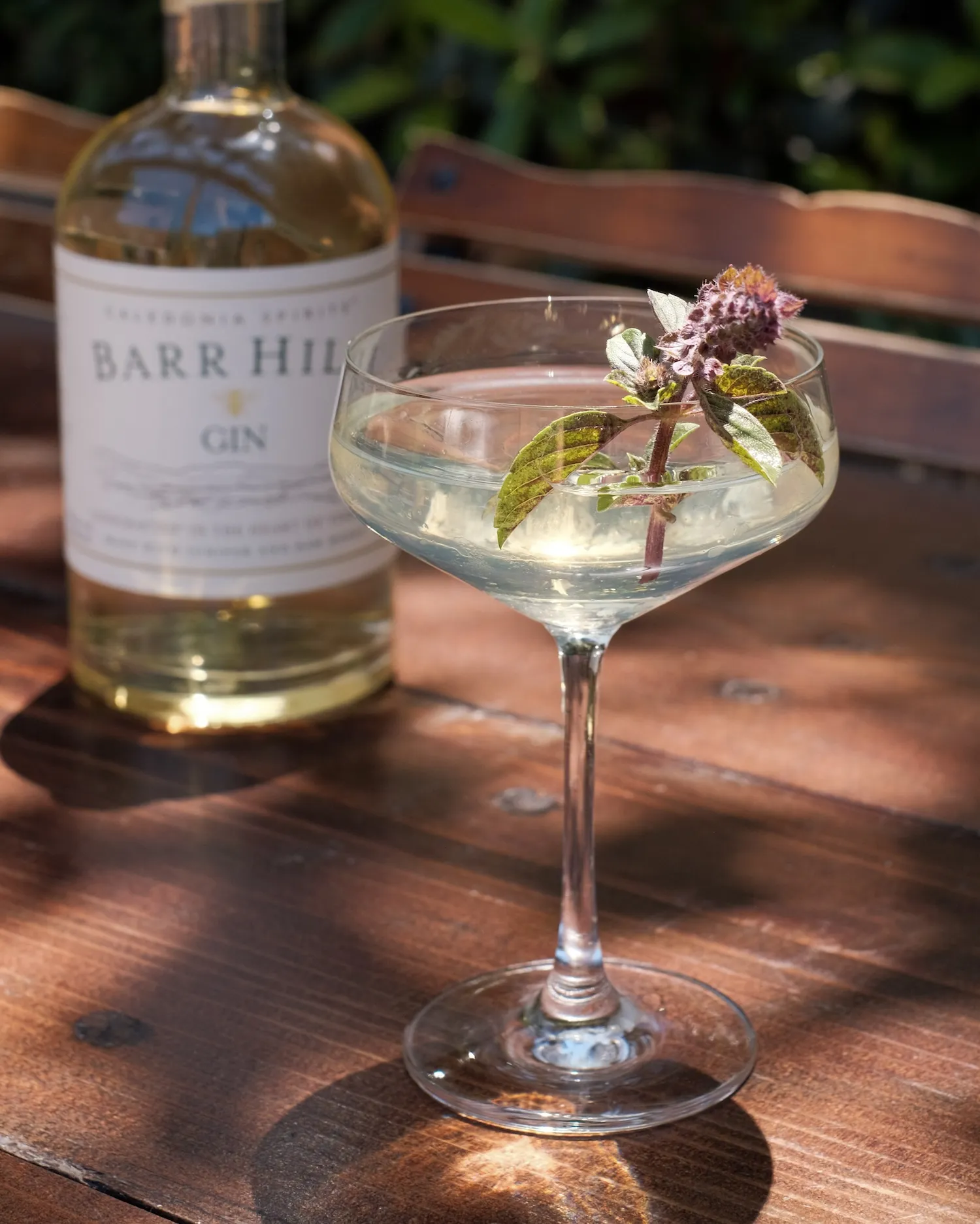 House Martini