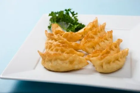 Fried Meat and Vegetable Dumplings