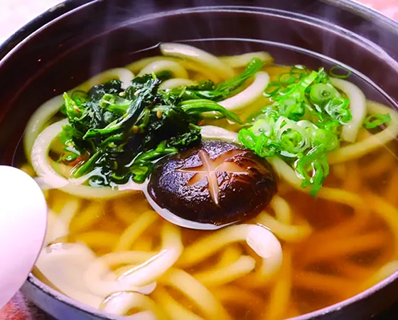 Udon