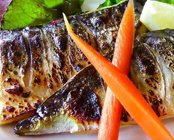 Grilled Mackerel