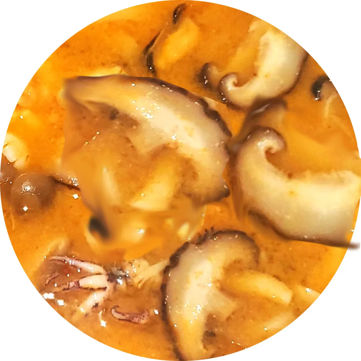 Spicy Seafood Mushroom Miso