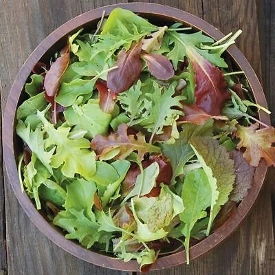 House Salad