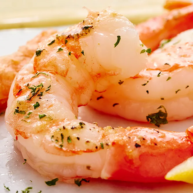 Shrimp