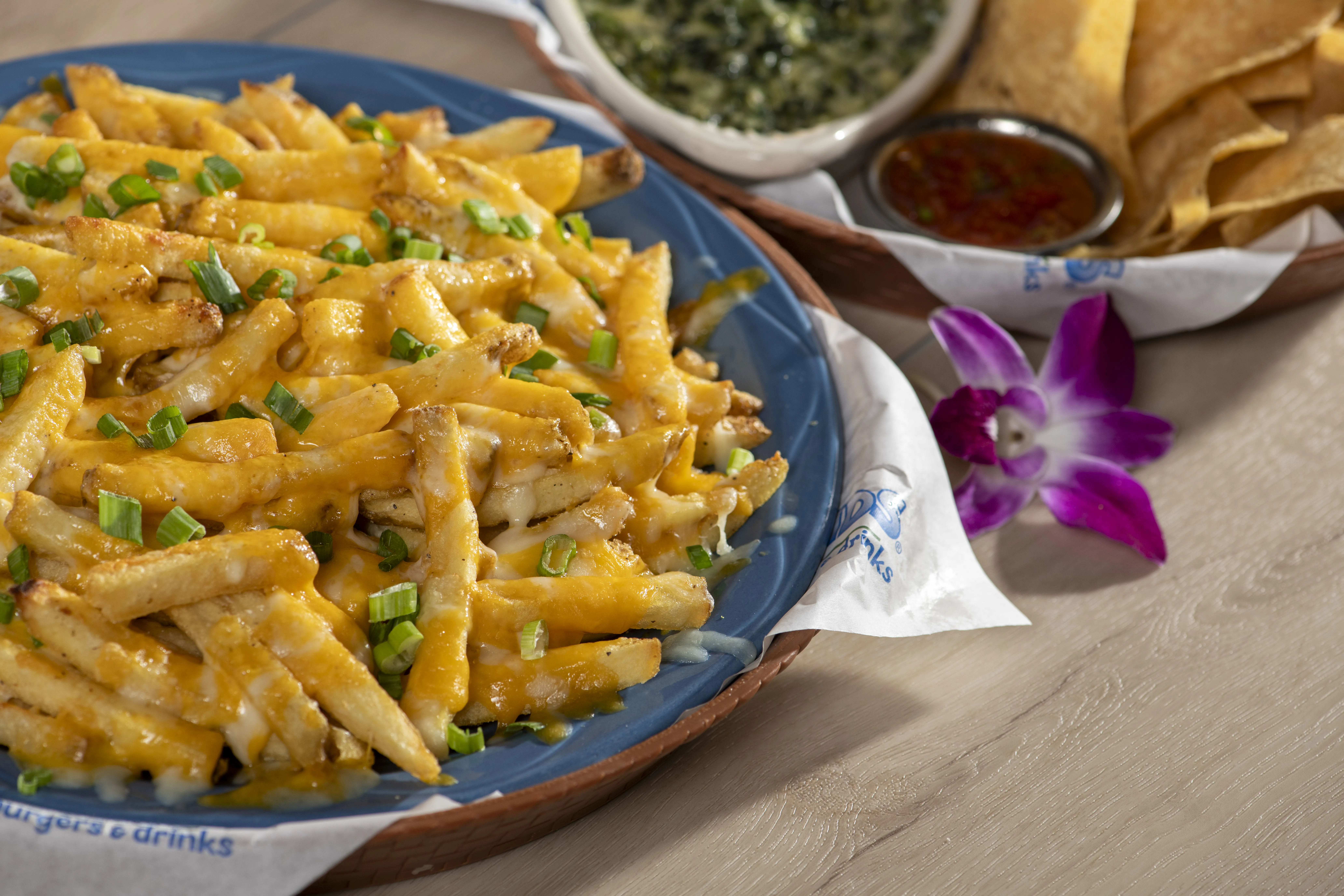 Cheddar Fries