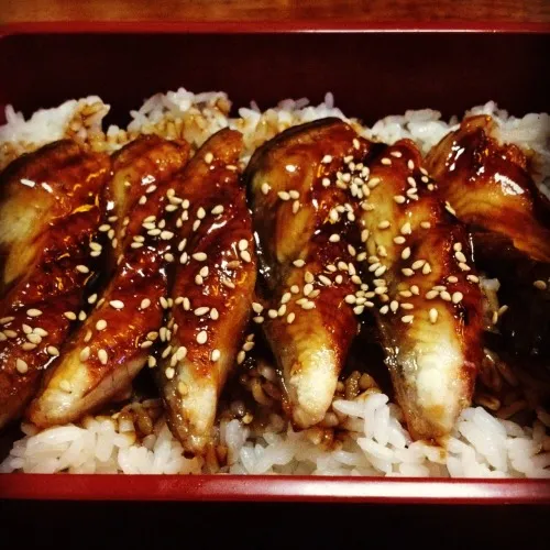 Unagi Donburi