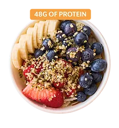Protein Gaucho