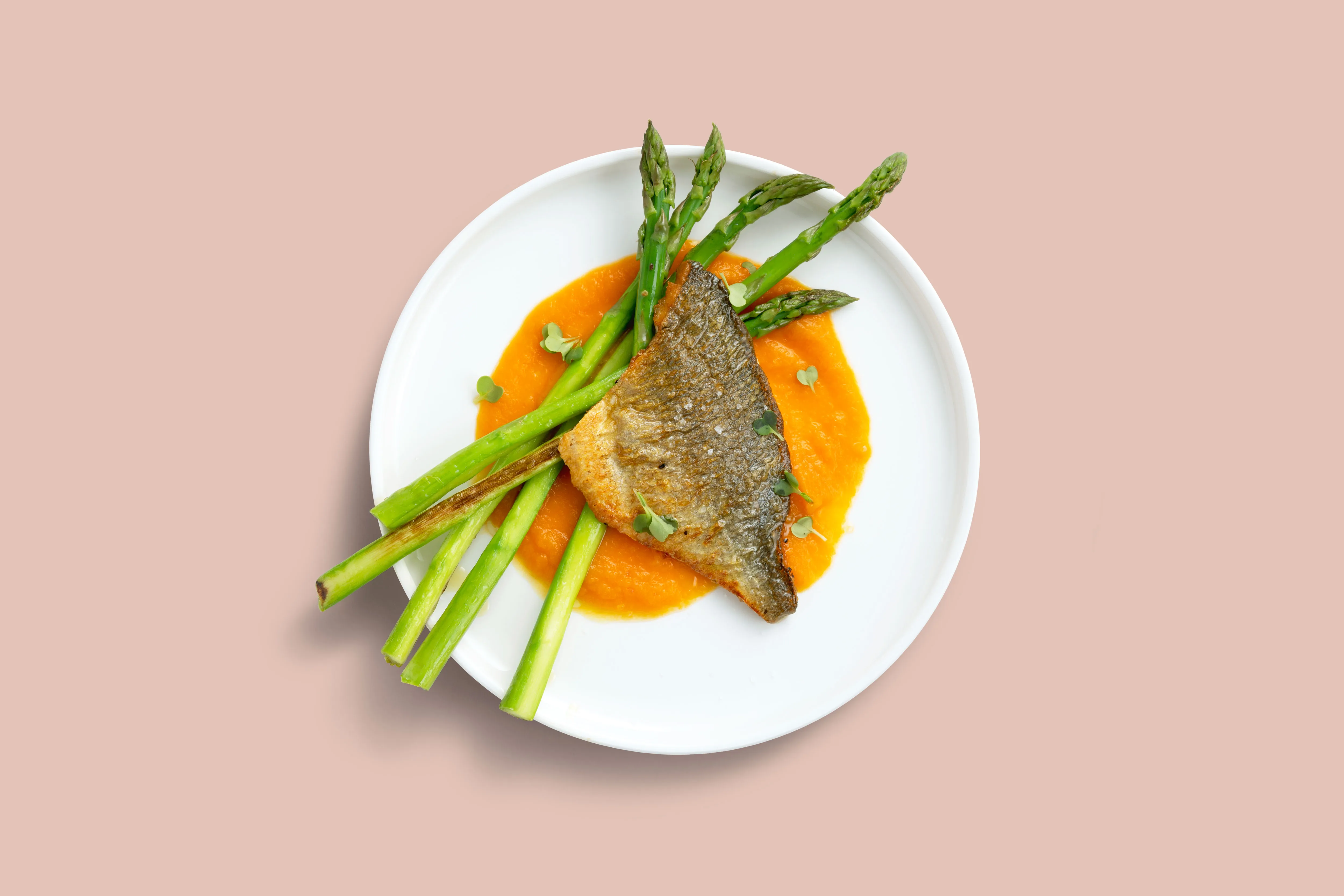 Fish of the day