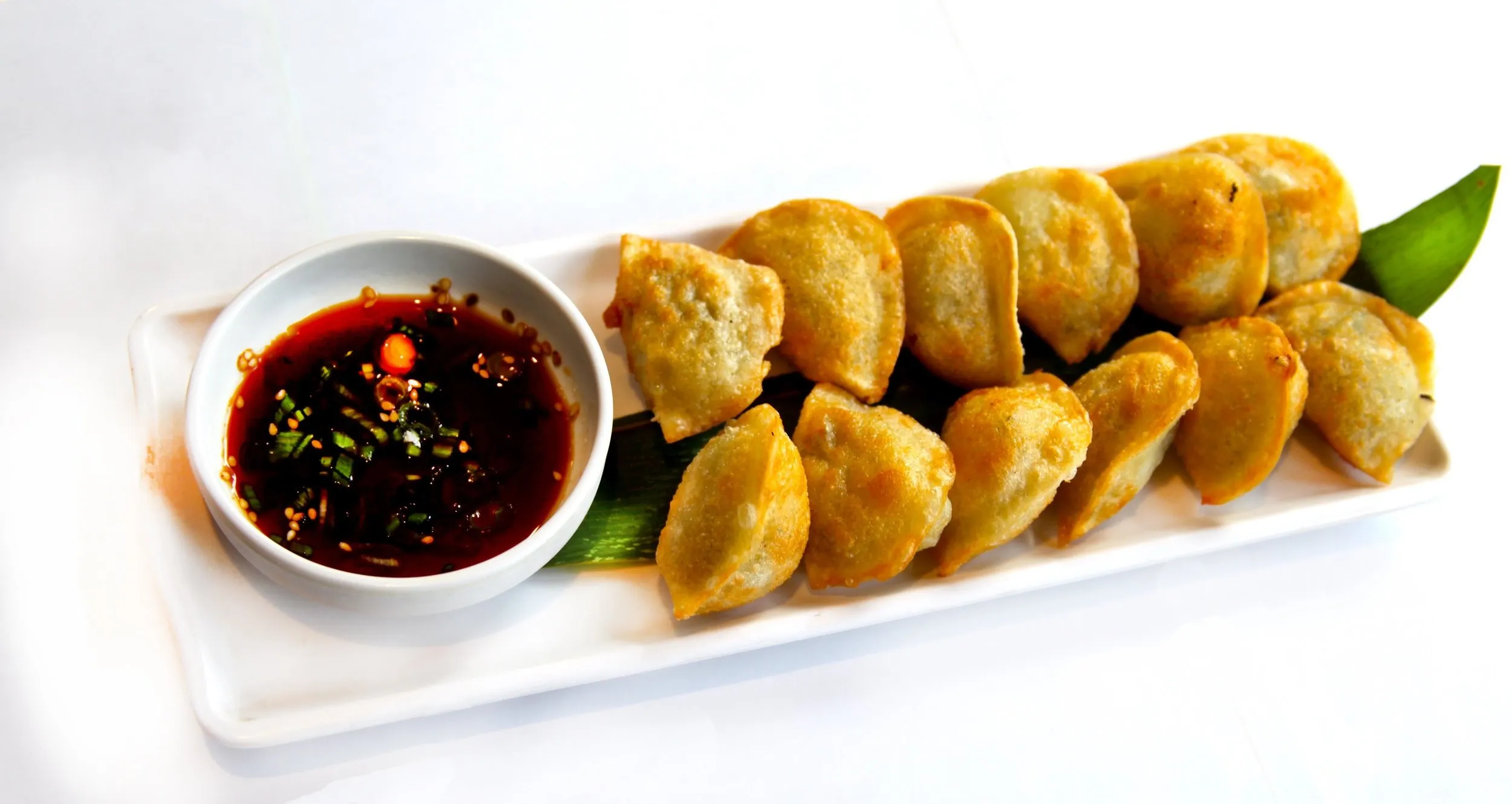 Fried Dumpling