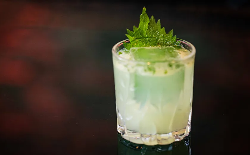 Shiso Gin to You