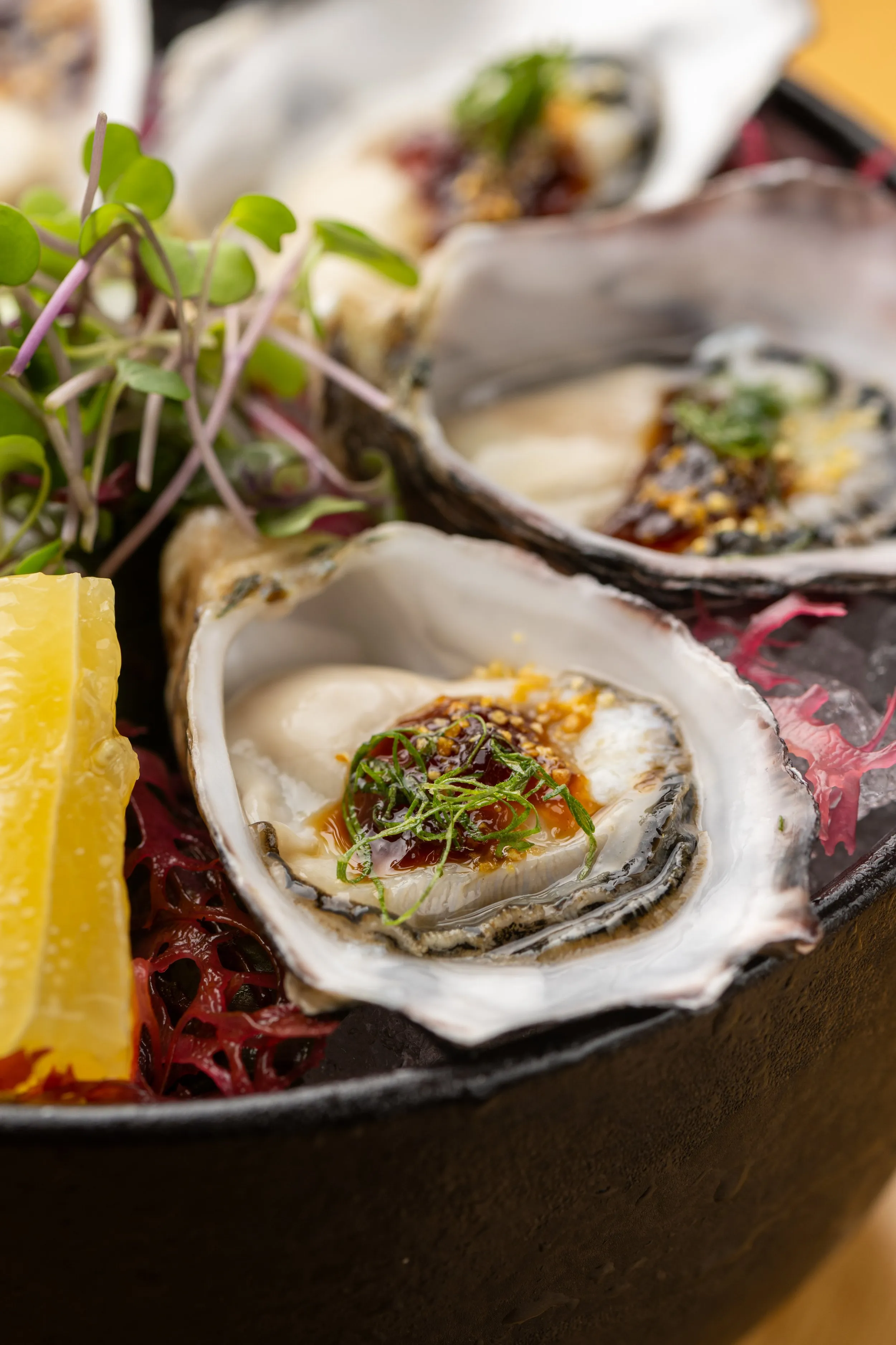 Shigoku Oyster
