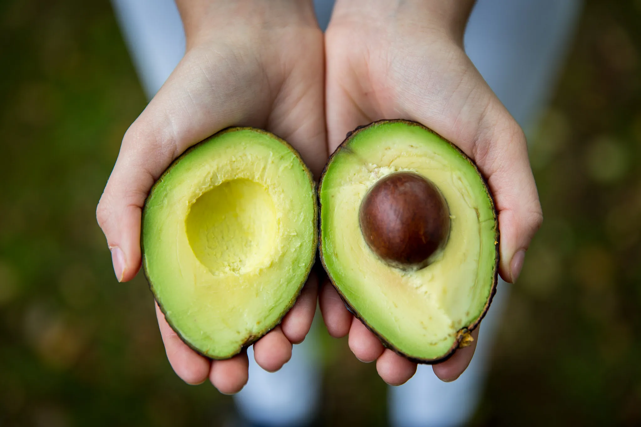 Half Avocado