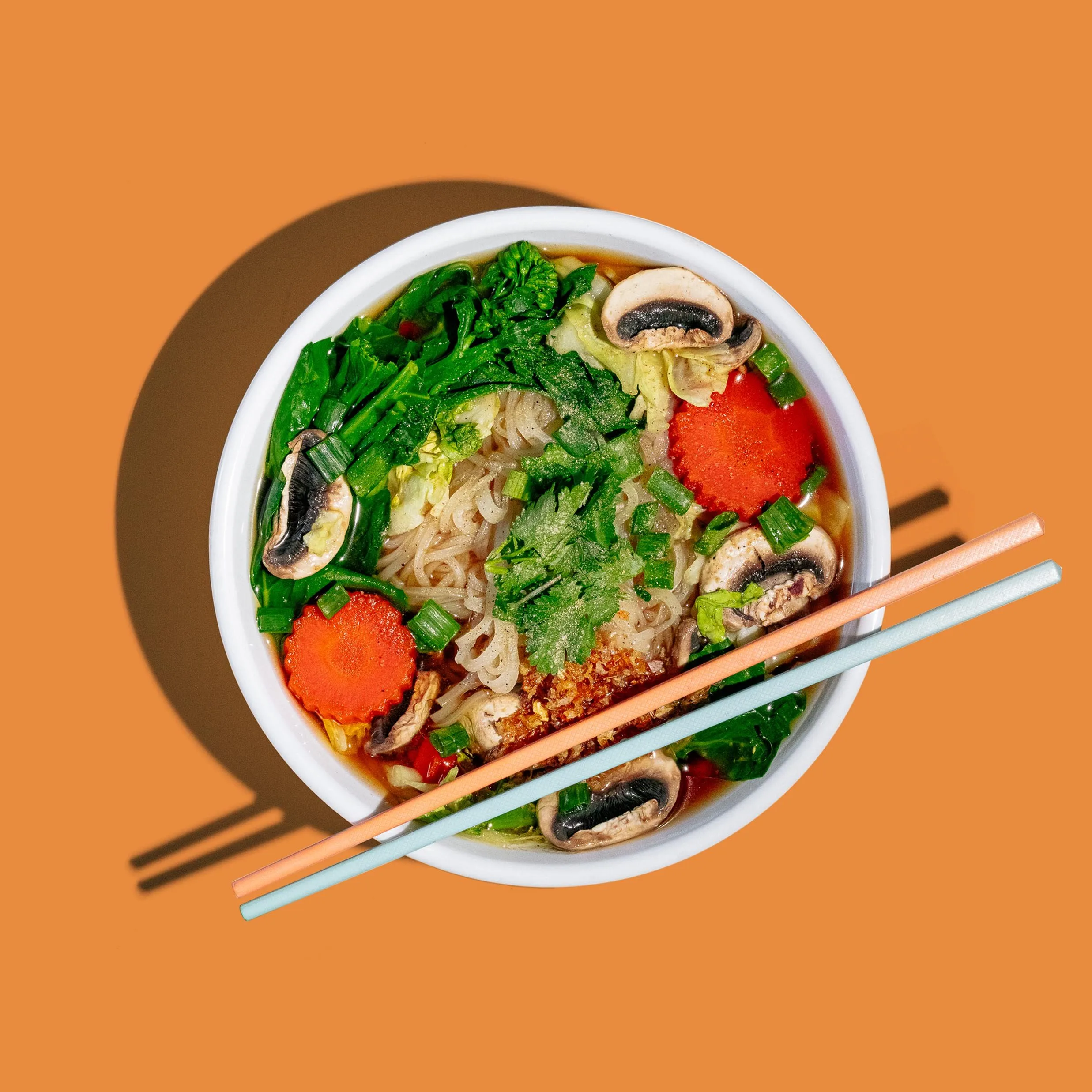 Vegetable Noodle Soup