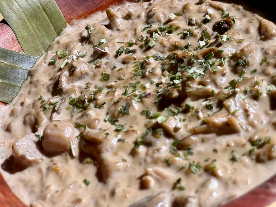 Coconut Jackfruit & Mushroom Adobo