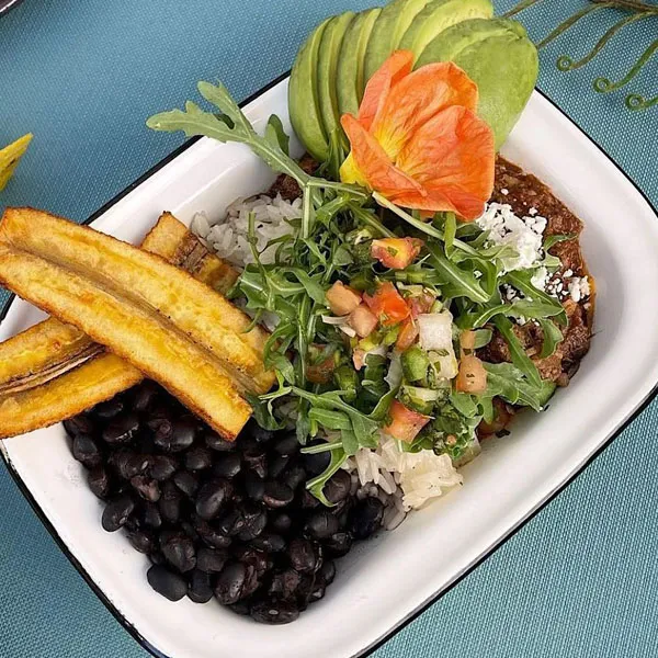 Bowl Ropita Vieja