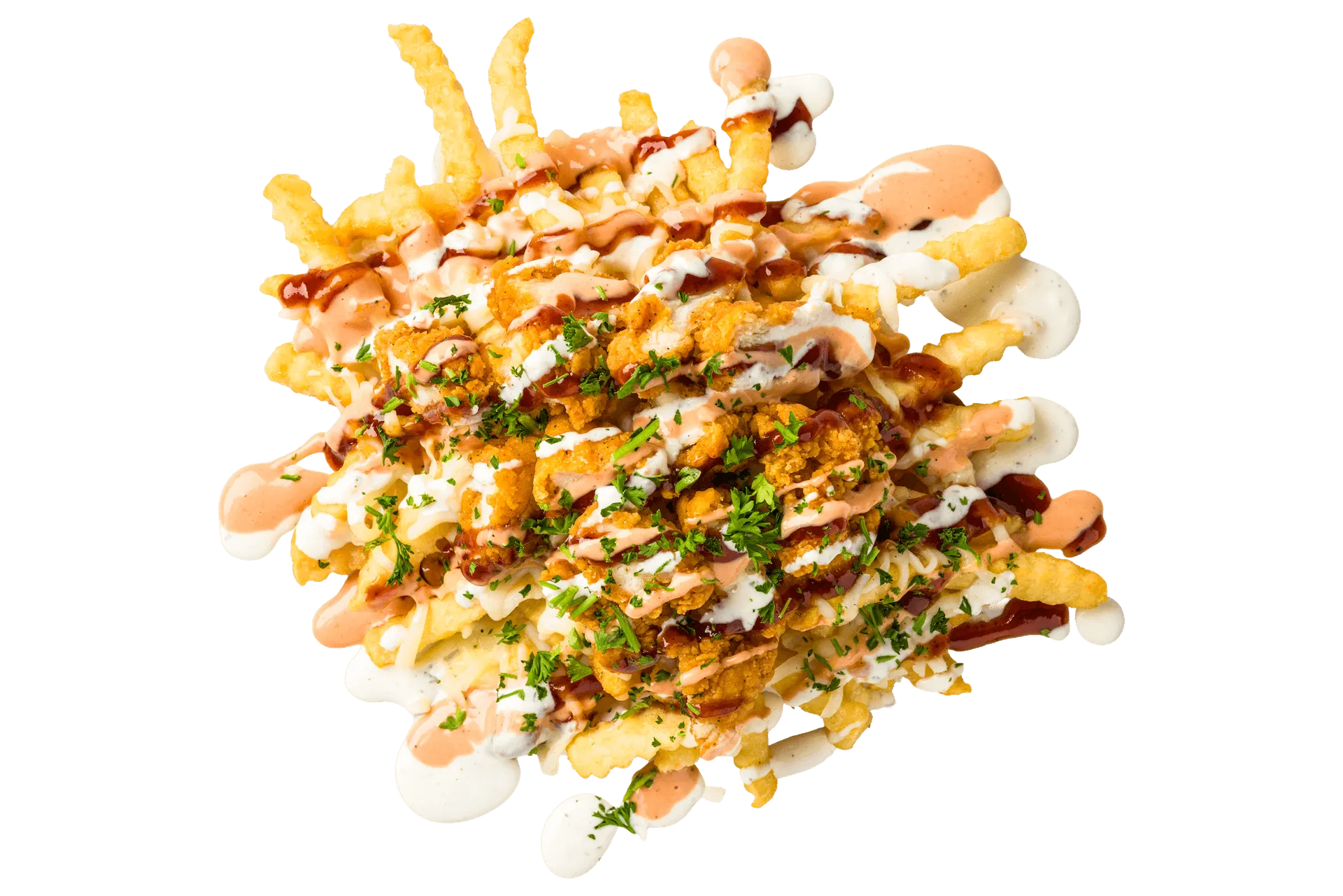 Southern BBQ Fries