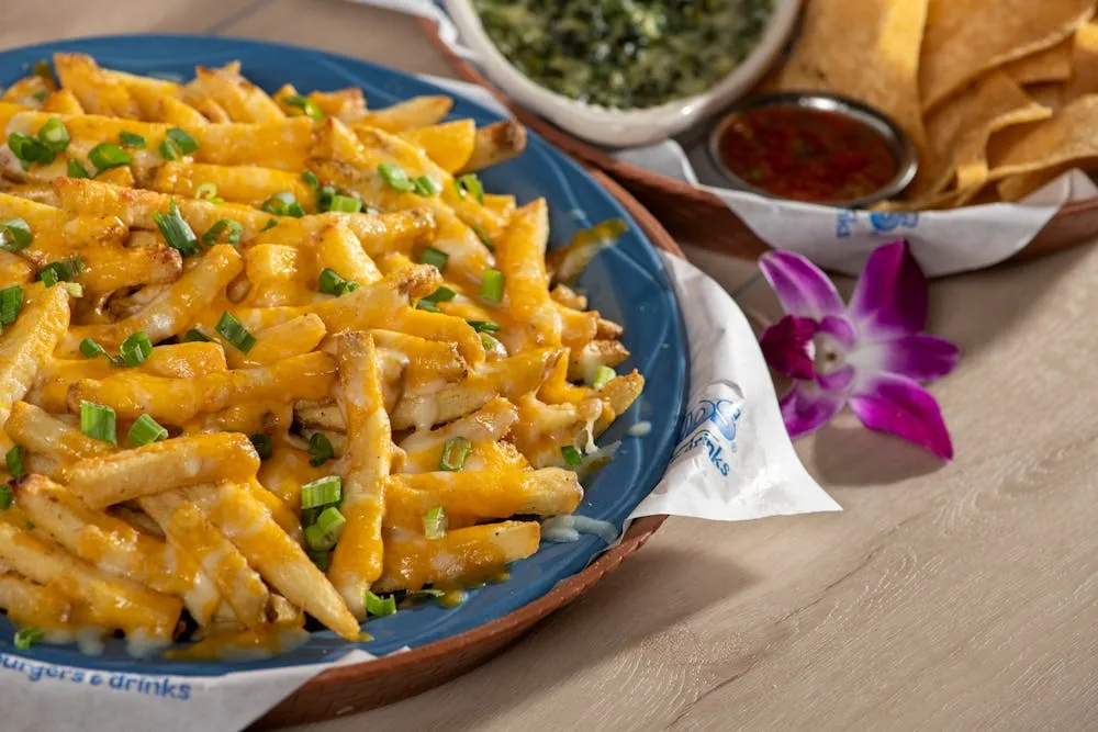 Cheddar Fries
