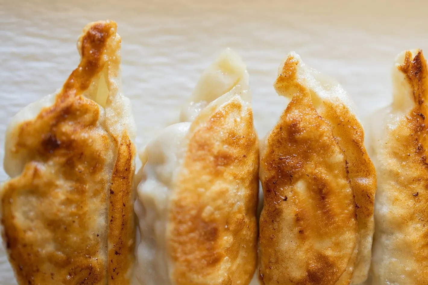 Chicken Potstickers