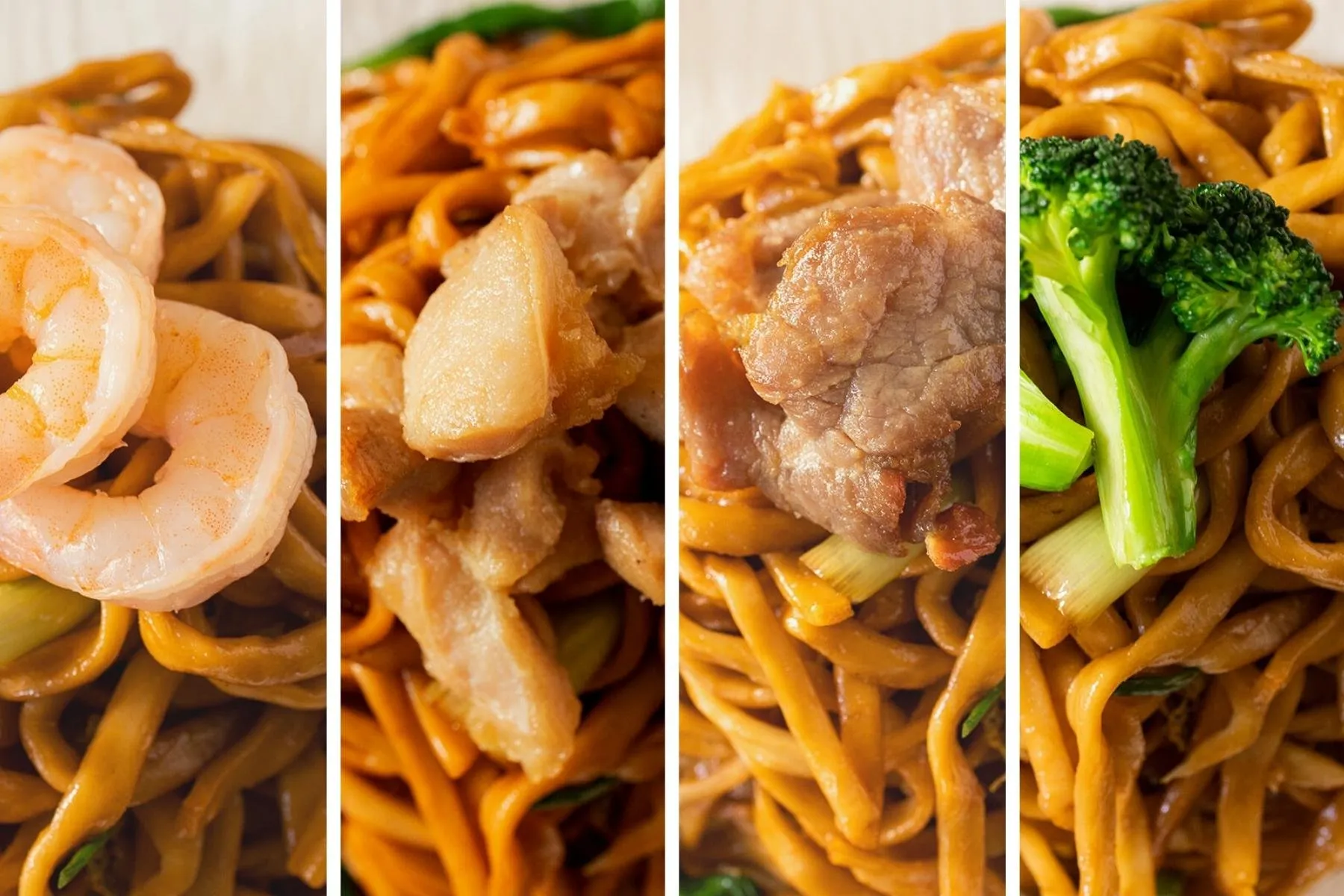 Fried Noodle Varieties