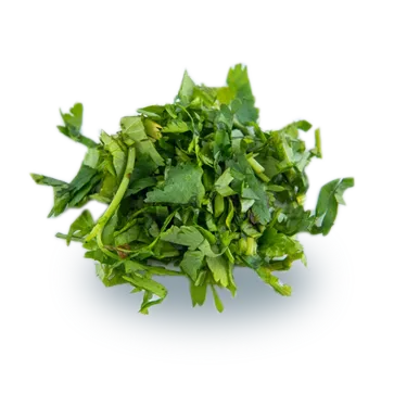 Cilantro