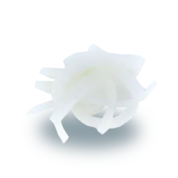 Sweet Onion
