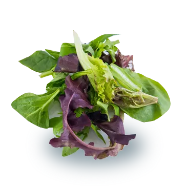 Mixed Greens