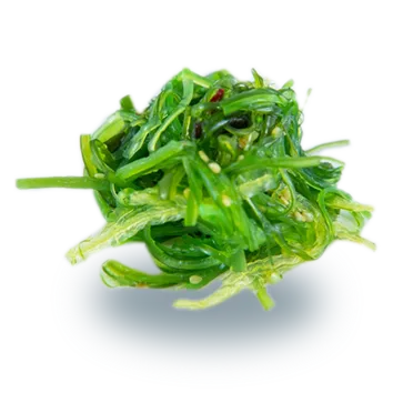 Seaweed Salad