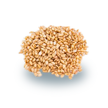 Sesame Seeds