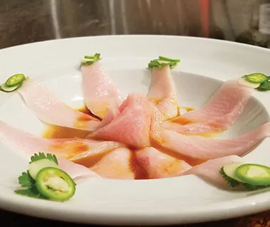 RJ Baby Yellowtail