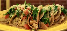 Grilled Soft Tacos