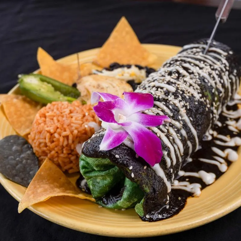 Mole Burrito
