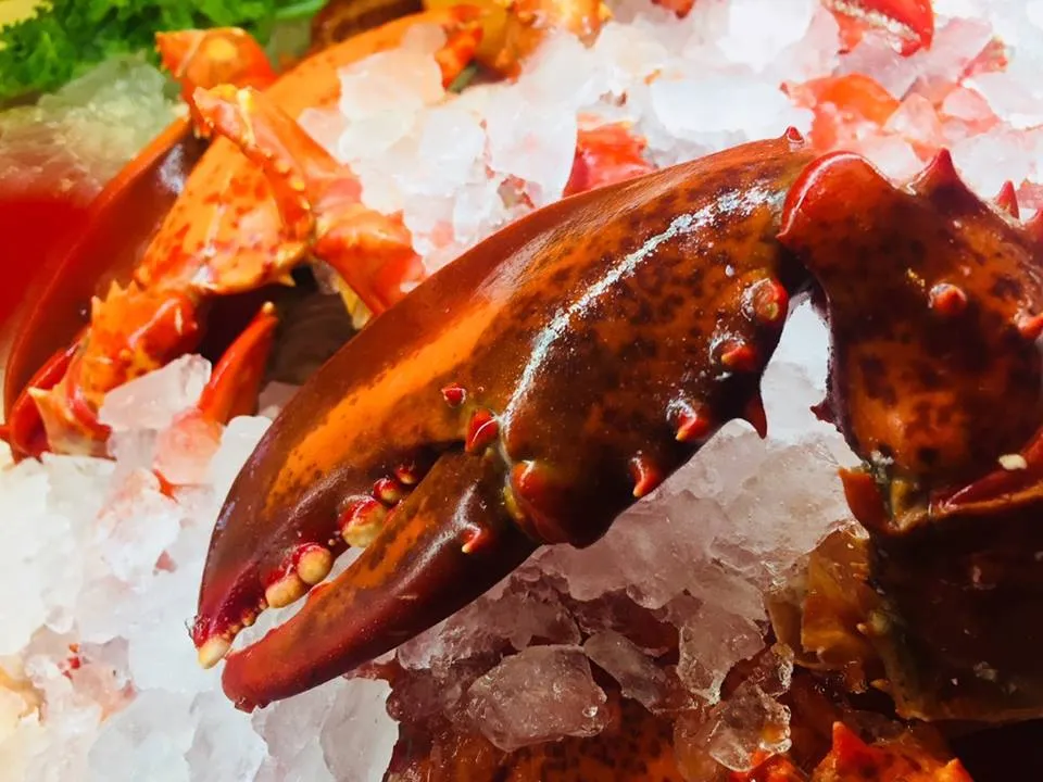 Snow Crab Legs