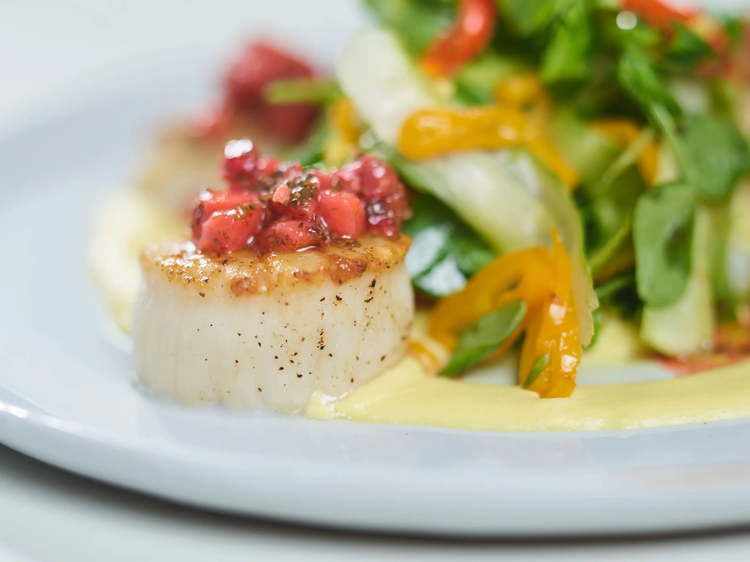 Seared Scallops