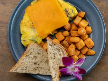 Denver Omelet