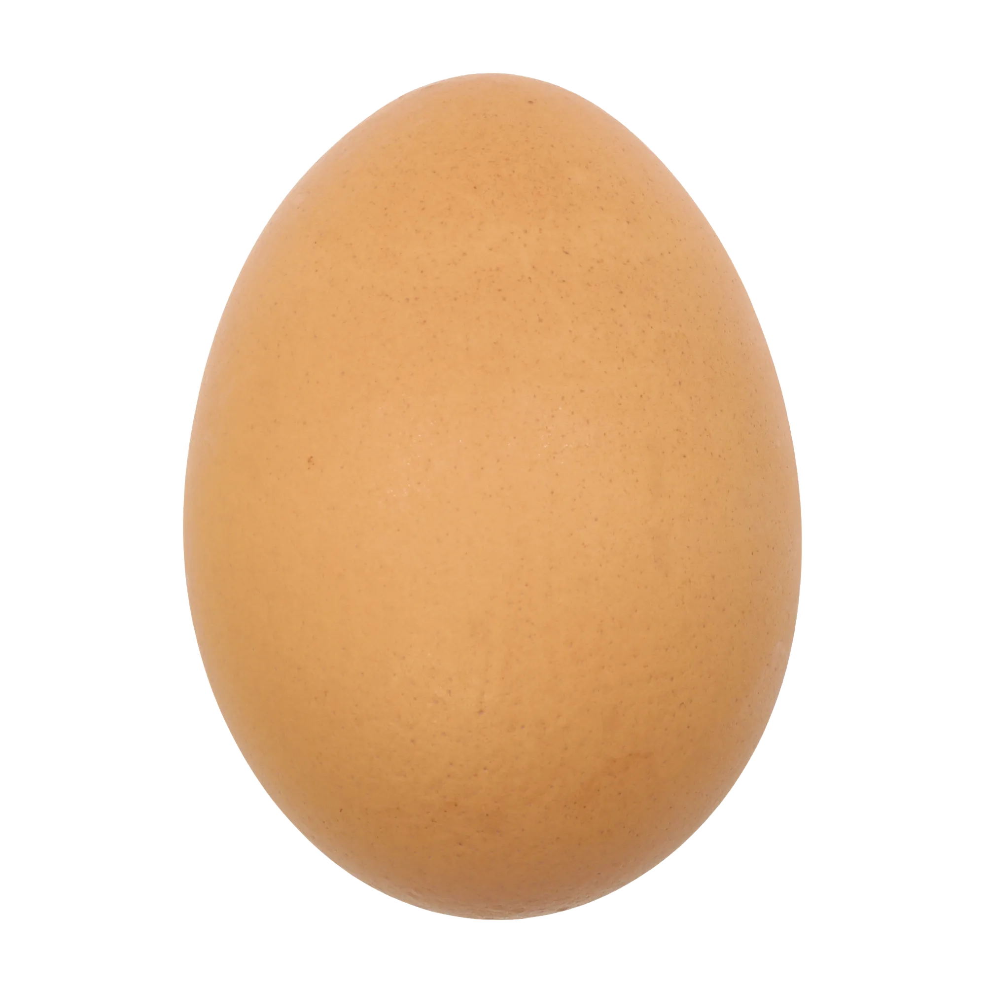 Side Egg
