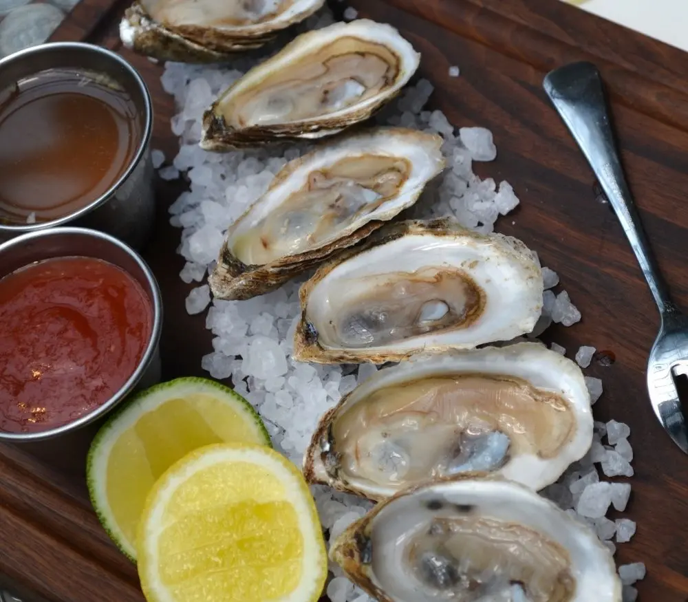 Oysters